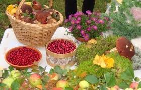 На Волині АМКУ має претензії до заготівельників ягід та грибів