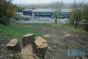 Об управляемом хаосе в лесной отрасли