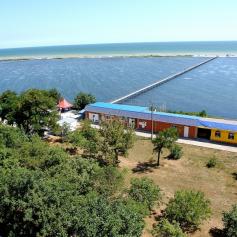 Розкрадач «Украгролізингу» Василь Шпак буде призначений «смотрящим» на Хмельниччині, а син уже відновлюється на колишній посаді в держкомпанії