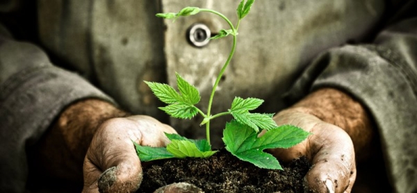 Под шумок Китай скупает Украину?