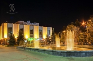 Як у «гнізді» регіоналів до «облави» готувались