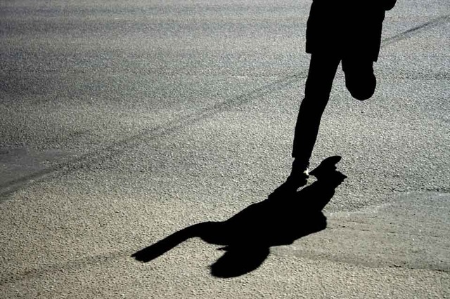 Залізнична "прокладка" Януковича зникла, залишивши багатомільйонні борги