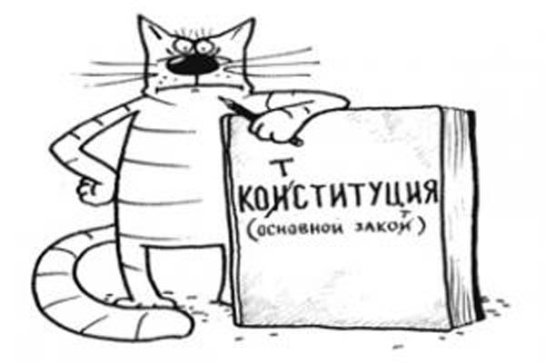 Конституция для «ширки»?