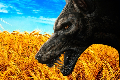 Земельная мафия Украины: власть меняется, шакалы остаются