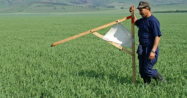 Горсовет Броваров тайно «сплавил» земли по заниженной цене