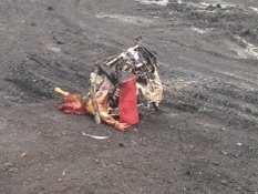 На малазийском "Боинге" было 80 детей