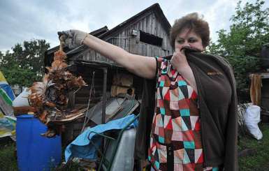 У Краснодоні голодні люди гоняться за курми, а кури займаються канібалізмом