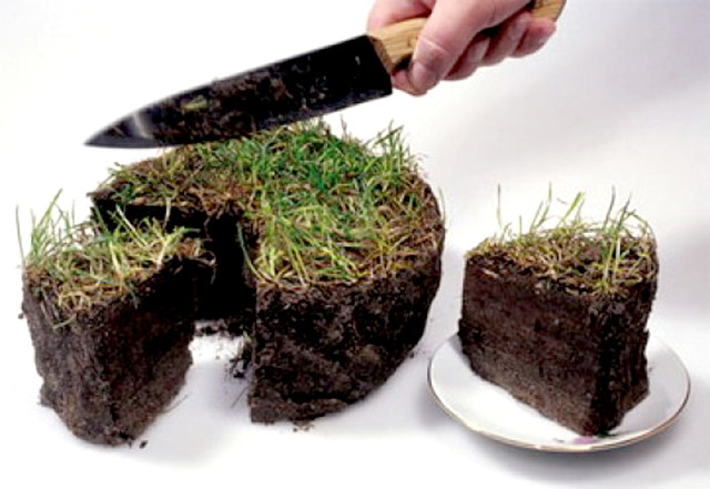 Фирмы Клюевых получили 250 га земли от экс-губернатора Николаевщины Круглова