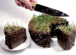 Экс-начальник фастовского Госземагенства "разбазаривал" земли историко-культурного назначения