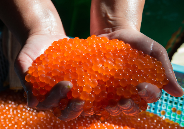 Под новые санкции ЕС могут попасть российская водка, икра и алмазы — Die Welt