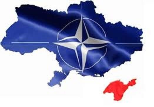 Очередная афера Майдана: Референдум от Юли