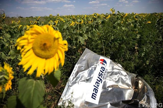 Малазийские следователи определили причину крушения рейса MH17