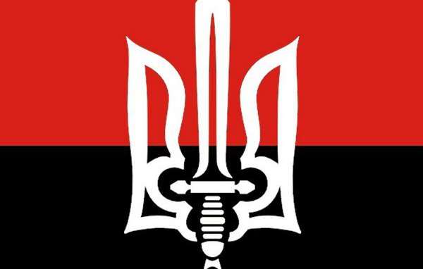 Официальное заявление: «Правый сектор» идет на выборы