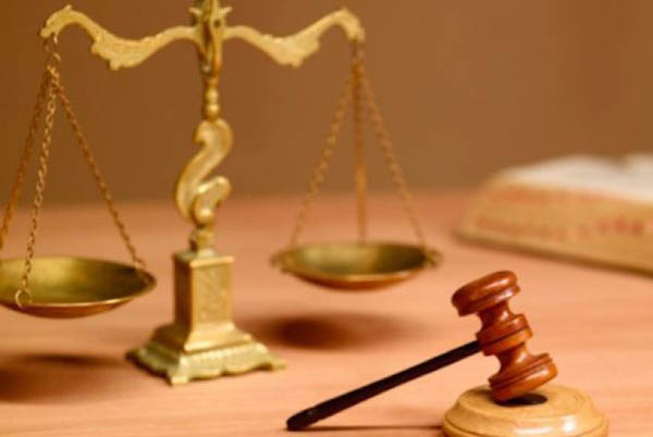 Нынешняя судебная власть: волк и заяц, судьи в клетке