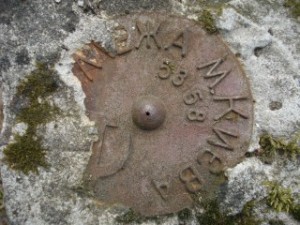 Суд разрешил Киеву присоединить Конча-Заспу и Беличанский лес