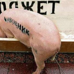 НБУ и правительство собственными руками помогали девальвировать гривню - СМИ