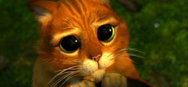 Выпускникам ВУЗов ЛНР и ДНР не видать российских дипломов