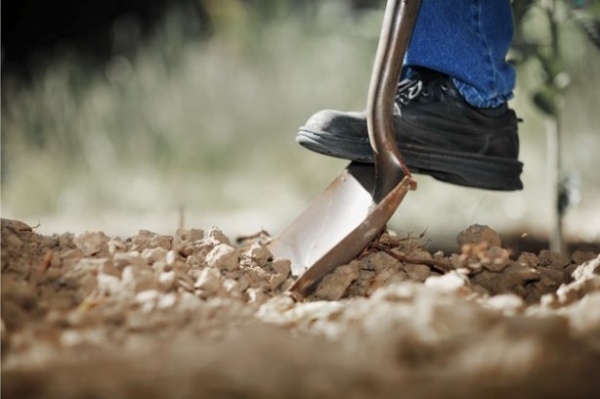 Перекоалициирование АПК: error!