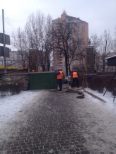В Киеве появилась скандальная стройка: столетние ели вырубят ради очередной высотки