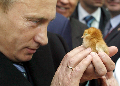 Вежливое укрощение Владимира Путина