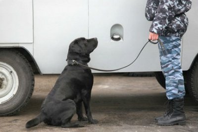 Международный аэропорт Мельбурна закрыт из-за угрозы взрыва