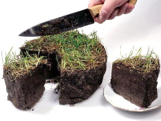 Керівництво апарату ВР привласнило землю у Бучі - ЗМІ