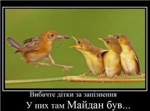 Професіонали гнізда Каськіва