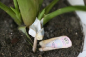 В украинских банков начался "весенний авитаминоз"