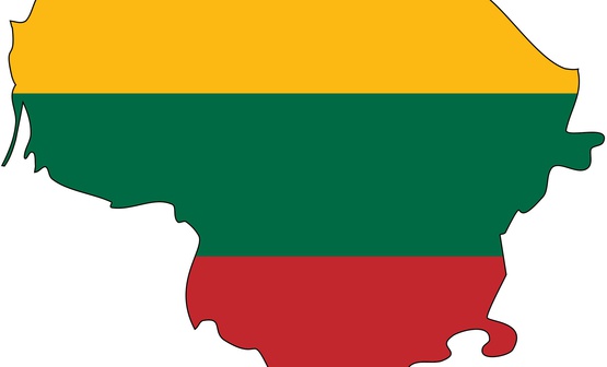 В Литве начались массовые обыски у прокремлевских пропагандистов