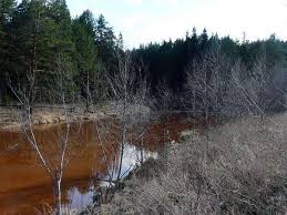 В Николаеве из реки выловили тело лейтенанта ВВС
