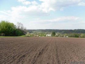 Мораторий на продажу сельхозземель должен быть снят, - Ложкин