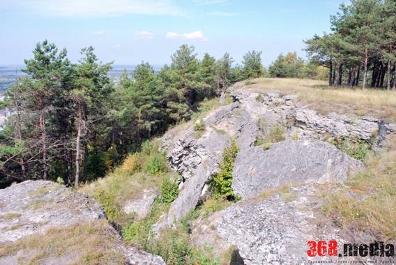 Чиновники Киевской ОГА раздали лесных угодий на 14 миллионов гривен