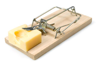 Аудиторы рассказали о скрытых ловушках при получении субсидий