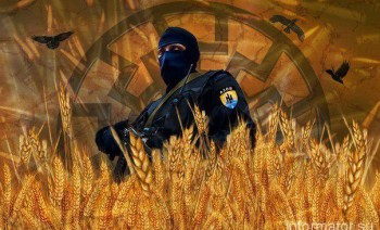 В Широкино ранен боец “Азова”