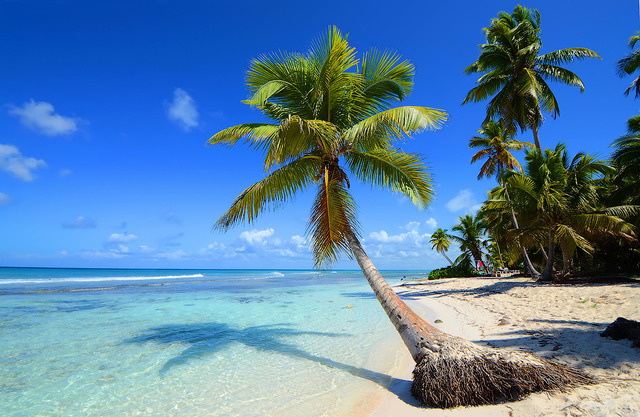 В Дании бывшим наркоманам помогают реабилитироваться, отправляя в круиз по Карибам