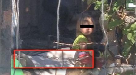 Трудности воспитания. Старушка посадила правнучку на цепь