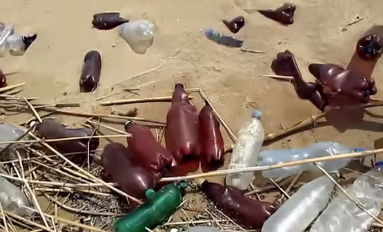 На что похожи крымские пляжи через год оккупации