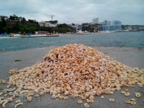 Таинственные горы бубликов появились на одесских пляжах (ФОТО)