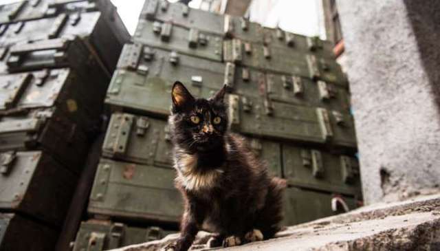 Боевики покинули Широкино - Минобороны