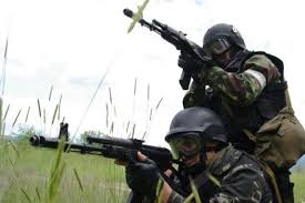 На Закарпатье началась спецоперация по нейтрализации «Правого сектора»