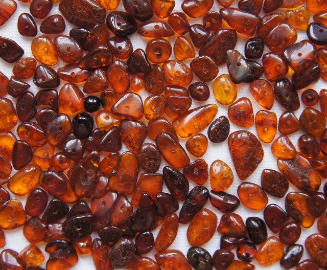 Імітація боротьби з беззаконням: Коні, люди, бурштин, міліція – все змішалося