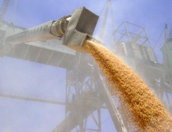 Налоговики арестовали партии зерна в трех портах Украины