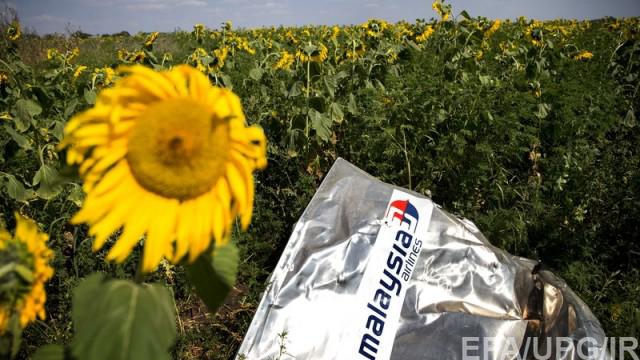 В Нидерландах проведут техническую реконструкцию авиакатастрофы MH17