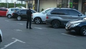 Нардепа Мельничука задержали на краденом