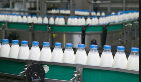 Россельхознадзор: Вся проверенная российская «молочка» вредна для здоровья