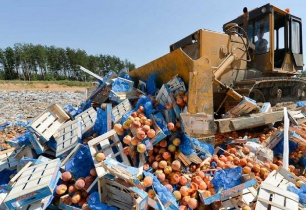 В России готовы ввести уголовную ответственности за ввоз «санкционной» еды