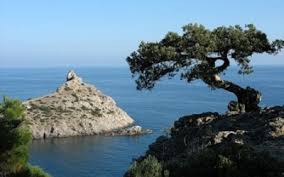 Кримський підприємець «зізнався» Путіну, що тепер не може працювати на півострові