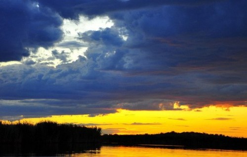 Українці продовжують втомлюватися від війни