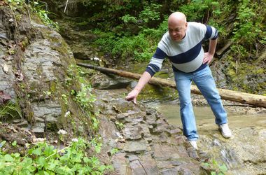 Москаль взялся за закарпатский лес