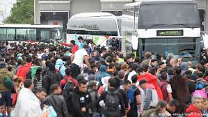 З’явилось фото і відео прориву сотень біженців через кордон Угорщини